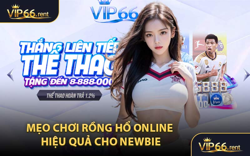 Mẹo chơi Rồng Hổ online hiệu quả cho newbie